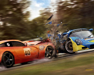 Cars racing track trees bird - two car free wallpaper