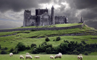 Sheep grazing field castle stormy - a castle in the background free wallpaper