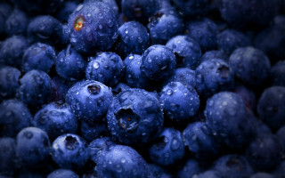 Blueberries waterdroplets yelloweye macro blurry - synthetism free wallpaper for desktop