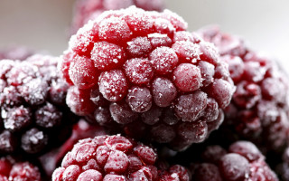 Frozen raspberries close up white - drop of water free wallpaper for desktop