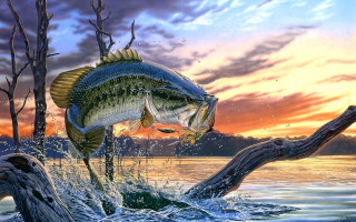 Large mouth bass jumping sunset - eric peterson free wallpaper