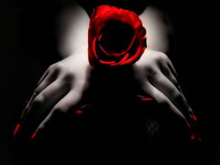 Red rose black background hands - hand free wallpaper for desktop