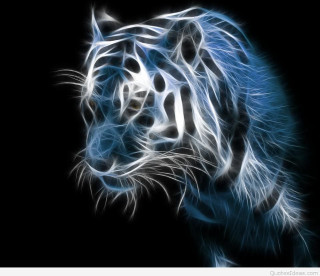 White tiger black background blue - blue line free wallpaper