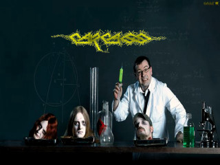 Man green object group blackboard - a group of people in front free wallpaper