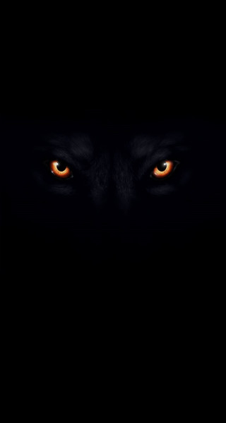 Dark wolf eyes glowing in - caspar wolf free wallpaper for mobile
