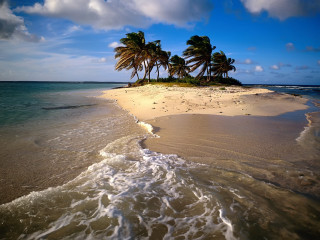 Beach small island palm trees - beach free wallpaper for desktop