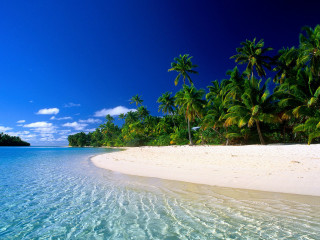 Beach palm trees clear water 13 - a boat in the distance free wallpaper