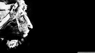 Lion face black white background - behance hd free wallpaper