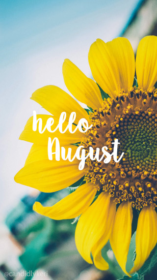 Yellow sunflower hello august blue - free summer wallpaper for mobile