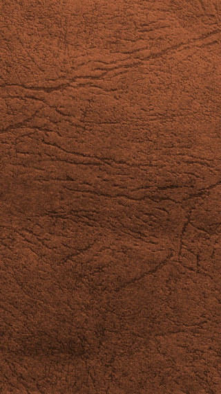 Brown soft texture fur leather - a cave painting free wallpaper for mobile
