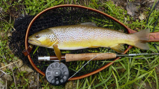 Hooked fish fishing rod reel - a fishing rod free wallpaper