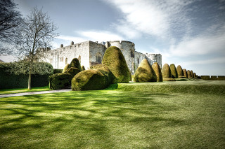 Large building lawn trees bushes - bush free wallpaper