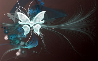 Blue white butterfly black background 2 - butterfly free wallpaper