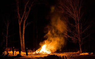 Fire forest night trees isolation - primitivism free wallpaper