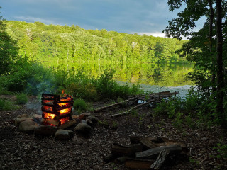 Campfire forest lake trees night - a campfire free wallpaper