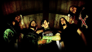 Tattooed pierced men group arms - adam dario keel free wallpaper