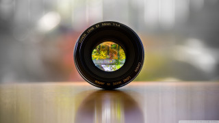Camera lens table reflection tree - a camera len free wallpaper