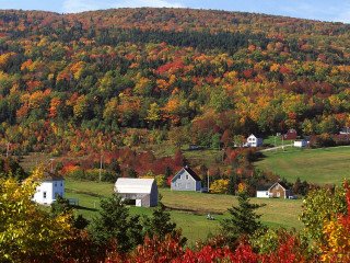 Rural countryside mountain colorful trees - rural free wallpaper