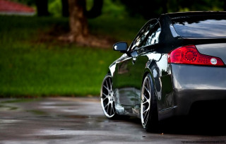 Car parked wet lot tree - wet free wallpaper for desktop