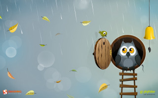 Owl barrel bird perched another - another bird free wallpaper