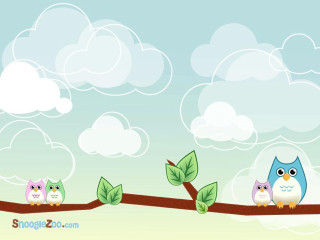 Three owls branch blue sky - adrian zingg free wallpaper