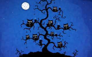 Tree owls moon background blue - a full moon in the background free wallpaper for desktop