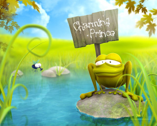 Frog sitting rock charming prince - a frog free wallpaper for desktop