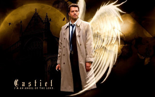 Man trench coat tie wings - a man in a trench coat free wallpaper