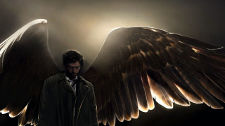 Man coat wings dark background - a coat free wallpaper