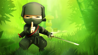 Cartoon ninja pointing knife green - a bamboo tree free wallpaper
