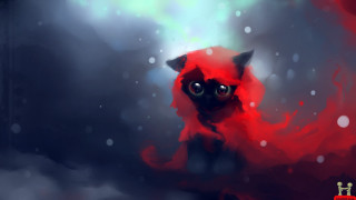 Red cat big eyes snow - big eye free wallpaper
