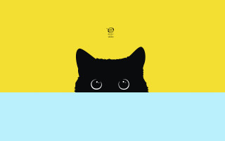 Black cat peeking blue yellow 2 - chiho aoshima free wallpaper