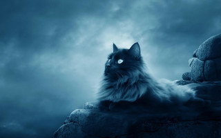 Cat rock dark cloudy blue - a rock in the dark free wallpaper