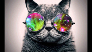 Cat glasses galaxy colorful pattern - psychedelic art free wallpaper for desktop