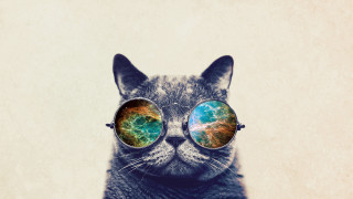 Cat glasses colorful sky image - glass free wallpaper for desktop