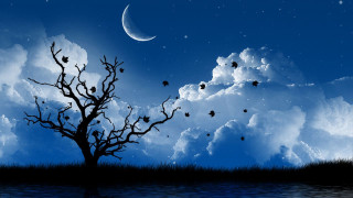 Leafless tree crescent moon cloudy - dreamlike free wallpaper for desktop