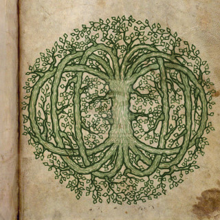 Book tree of life leaves - romanesque free wallpaper for tablet