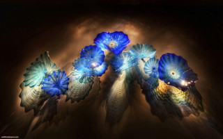 Blue flowers table lights smoke - bruce munro free wallpaper