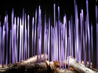 Purple candles lit dark room - candle free wallpaper