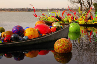 Boat colorful glass balls floating - a forest of trees free wallpaper