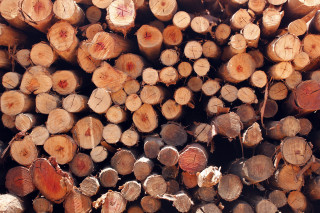 Cut logs grass dirt sky - a field of grass and dirt free wallpaper