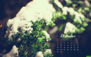 Calendar tree branch snow snowflakes - a calendar free wallpaper
