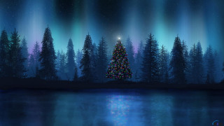 Christmas tree night lake reflection 2 - a christmas tree free wallpaper for desktop