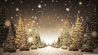 Snowy scene trees snow falling 3 - a snowy scene free wallpaper