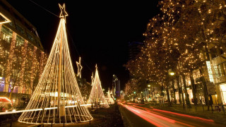 Christmas tree night street lights - the middle of a street free wallpaper