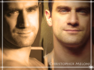 Bald man bald head white - bald free wallpaper