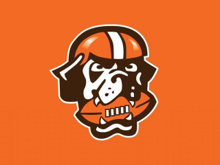 Bulldog football helmet face side - a football helmet free wallpaper