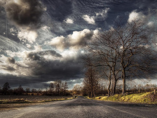 Road tree cloudy sky field - stormy weather free wallpaper