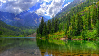 Mountain lake forest green trees - a mountain lake free wallpaper