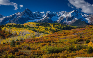 Mountain range trees foreground snow - a few snow free wallpaper